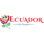 Ecuador Rose Garden