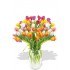 30pcs Large Mixed Color Tulips Bouquet