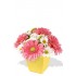 Mixed Chrysanthemum and Gerbera Bouquet