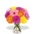 12 Gerberas Vase Bouquet